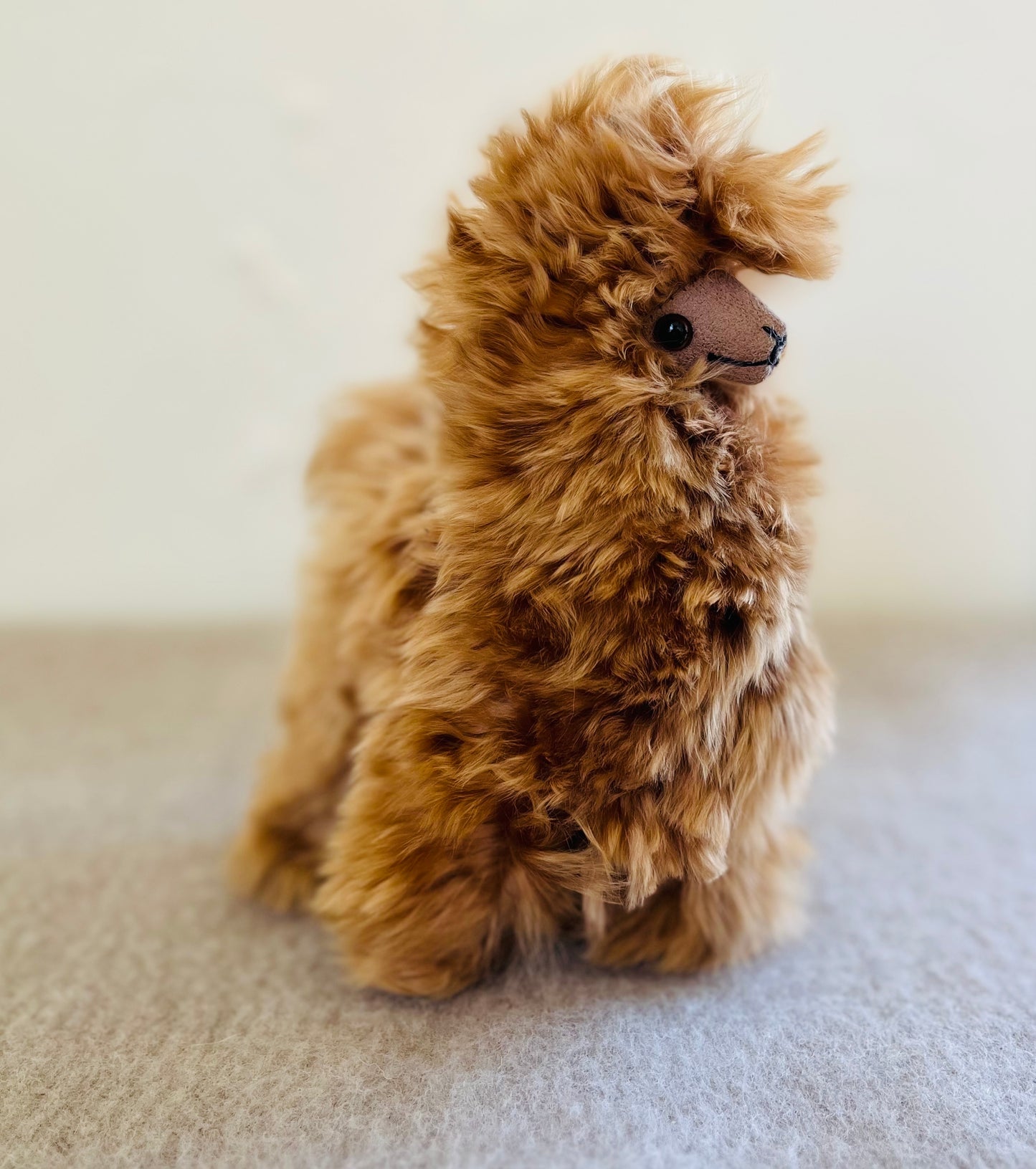 Teddy bear