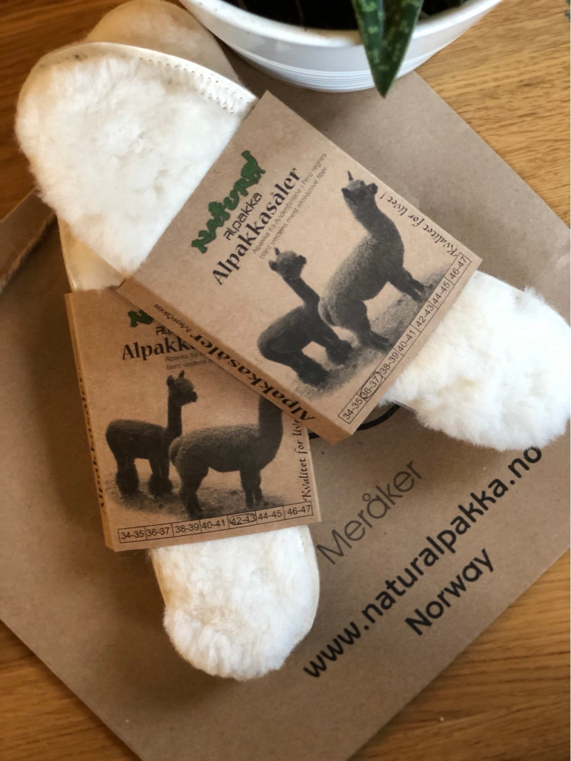 Alpaca -sula