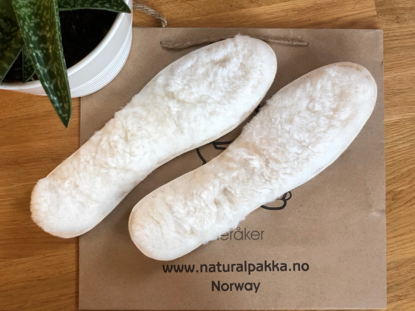 Alpaca -sula