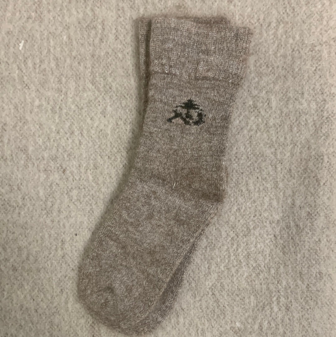 The king's sock