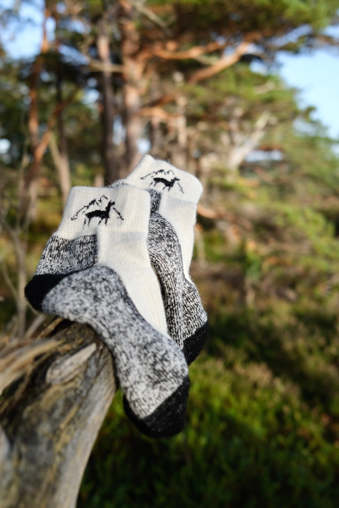 Alpaca ankle sock/sport sock